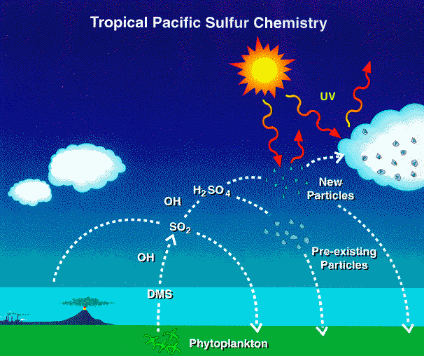 Sulfur Chemistry