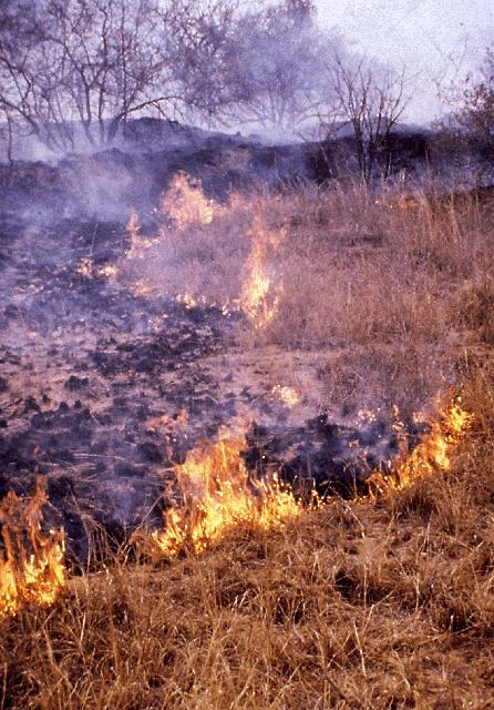 TRACE-A African Component