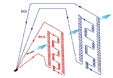 [wall flight patterns ]