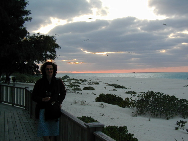 midway-dusk-simpson.JPG
