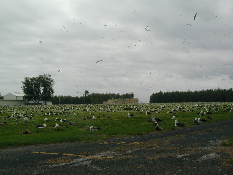 midway-goonies-field-1.JPG