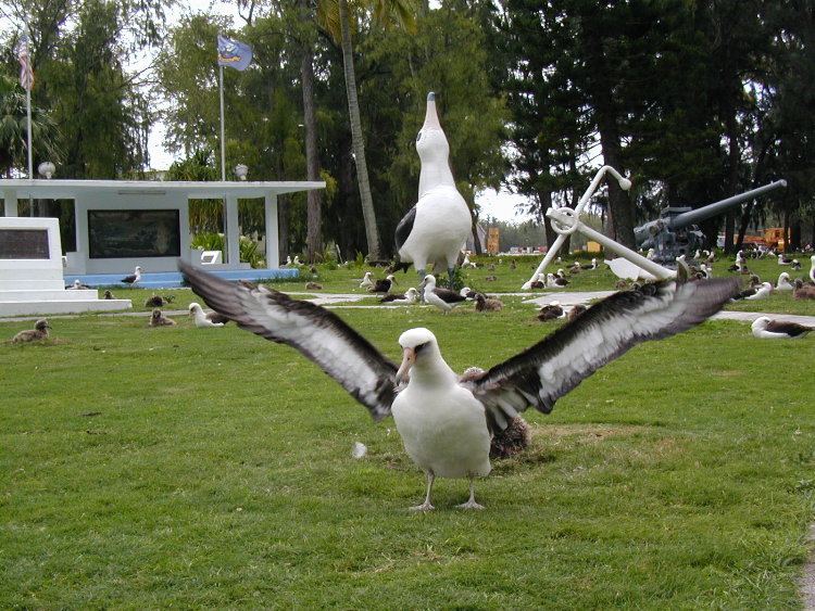 midway-goony-and-statue.JPG