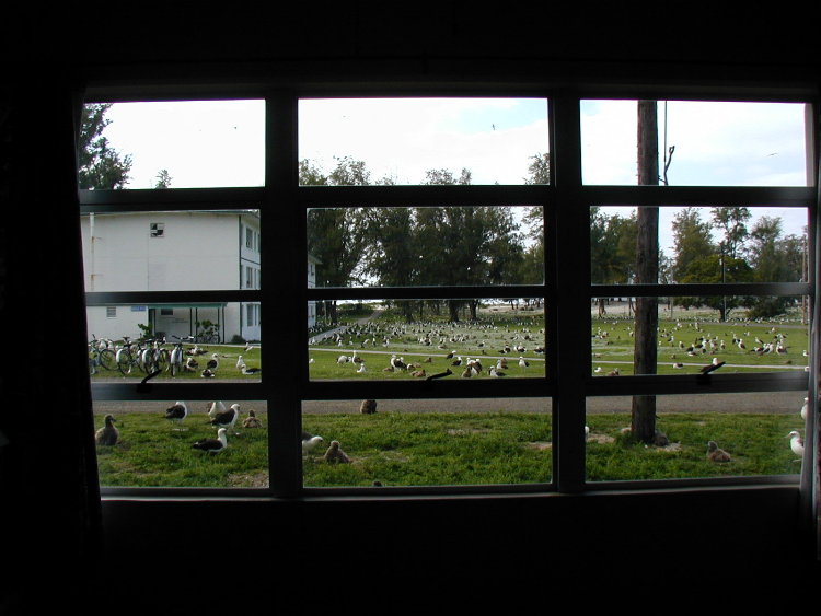 midway-room-view.JPG