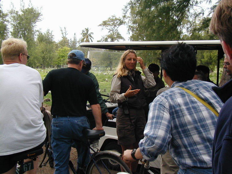 midway-tour-1.JPG